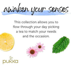 Pukka Tea Healing Sampler Sets