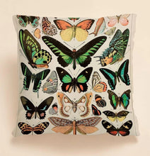 Load image into Gallery viewer, Pillow Fairy - Enchanted Covers (20 designs available)
