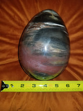 Load image into Gallery viewer, Petrified Wood Egg (Extra Large Stone)