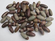 Load image into Gallery viewer, Shiva Lingam Stones