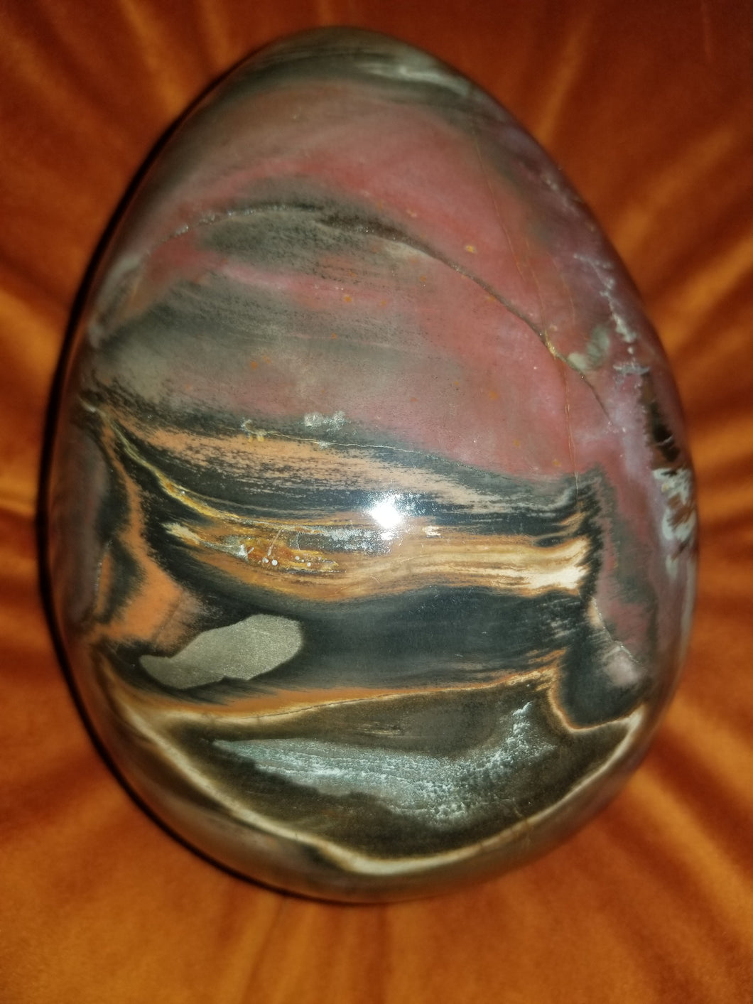 Petrified Wood Egg (Extra Large Stone)