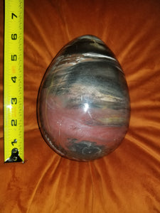 Petrified Wood Egg (Extra Large Stone)