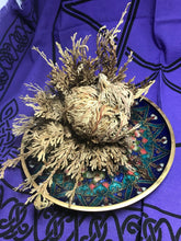 Load image into Gallery viewer, Rose of Jericho
